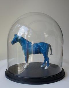 Cheval miniature sous dôme en verre : « simple cyanotype de cheval - miniature »