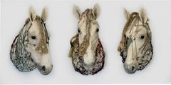 Dreifaltigkeitskonstellation Equus