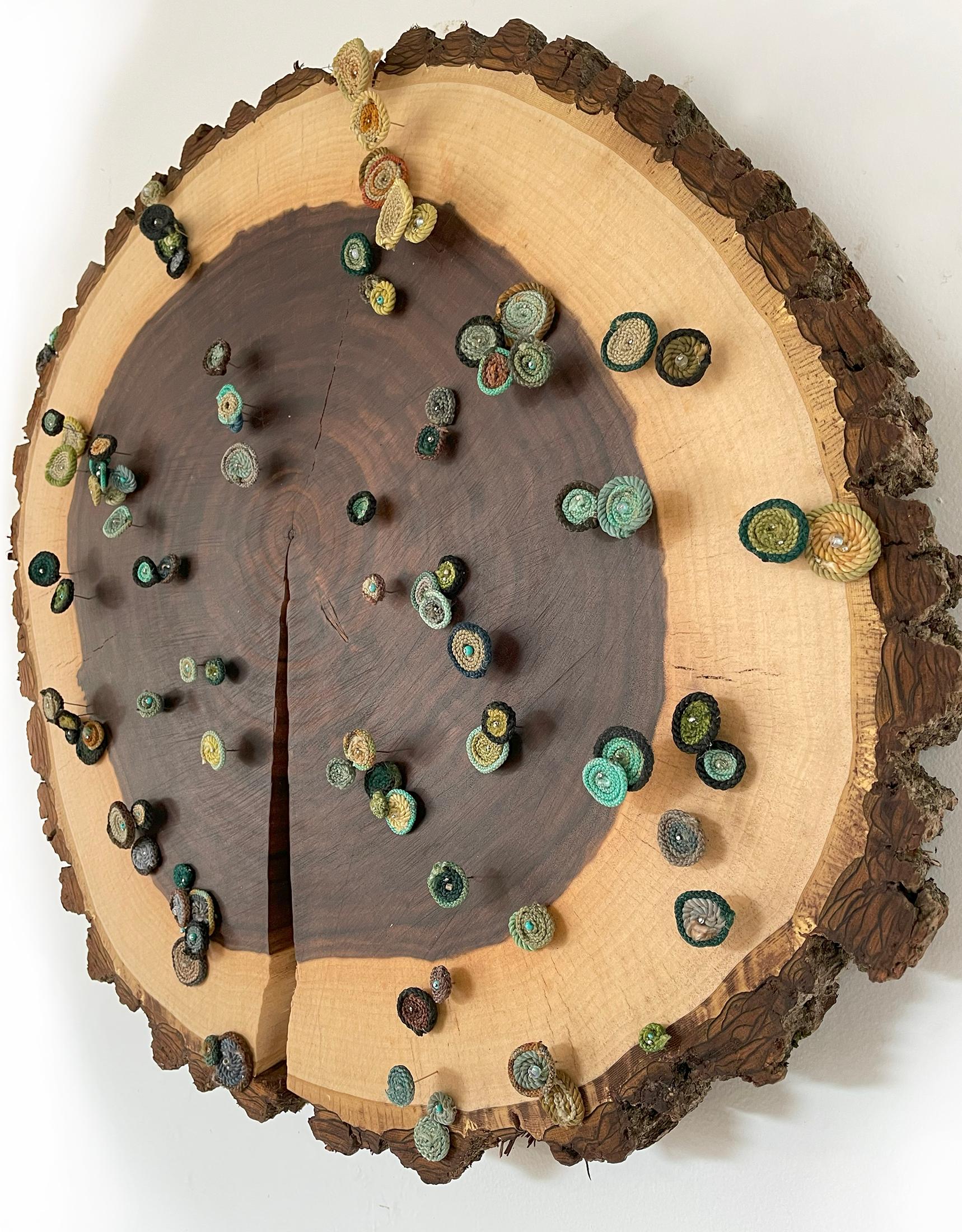 Still-Life Sculpture Gin Stone - SÉRIE "UNNATURAL DECAY" : Sculpture murale en Wood : 'Black Walnut no.1' (noyer noir)