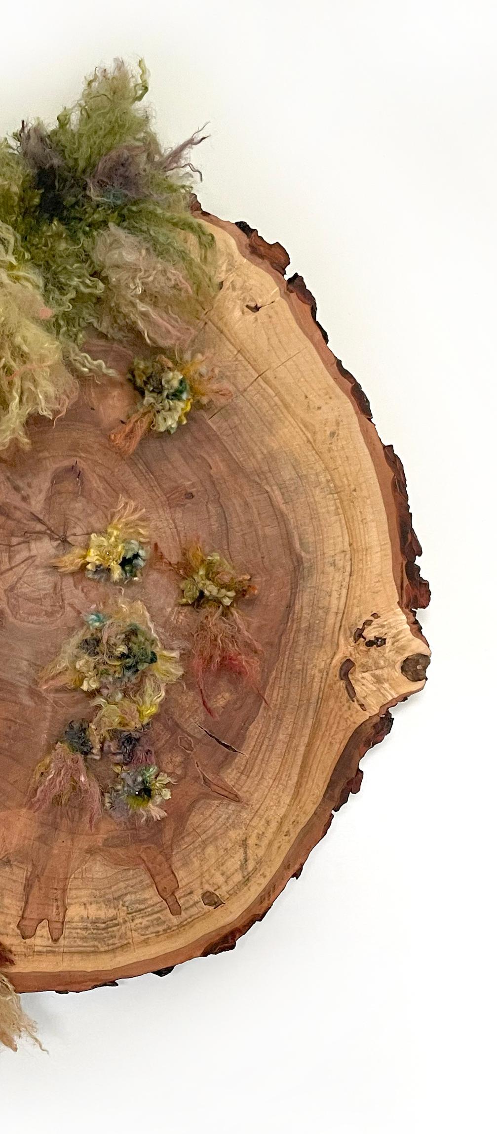 SERIE UNNATURAL DECAY, Escultura mural de madera: 'Arce plateado nº 1' en venta 1