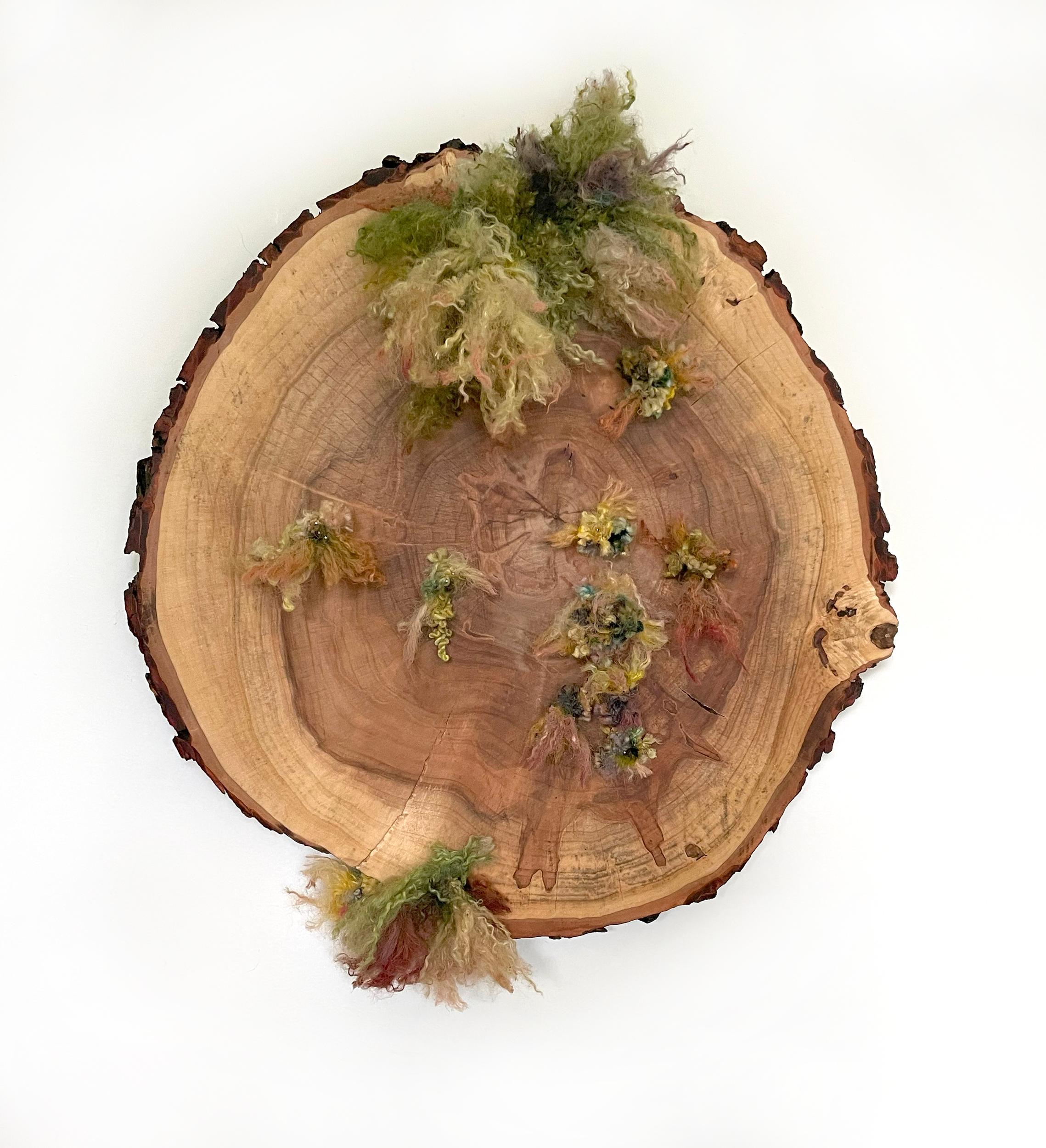 Still-Life Sculpture de Gin Stone - SERIE UNNATURAL DECAY, Escultura mural de madera: 'Arce plateado nº 1'