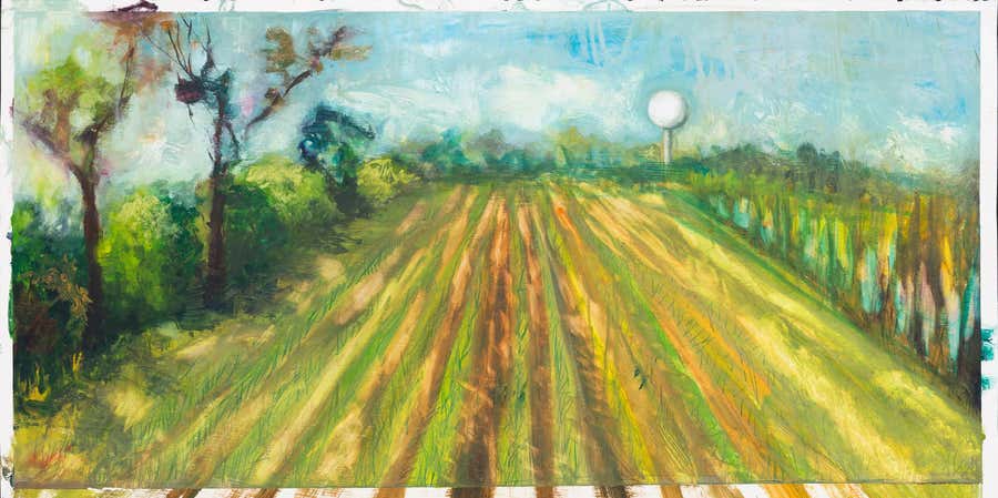 Thibodaux Sugarcane Field, October 29, 2017