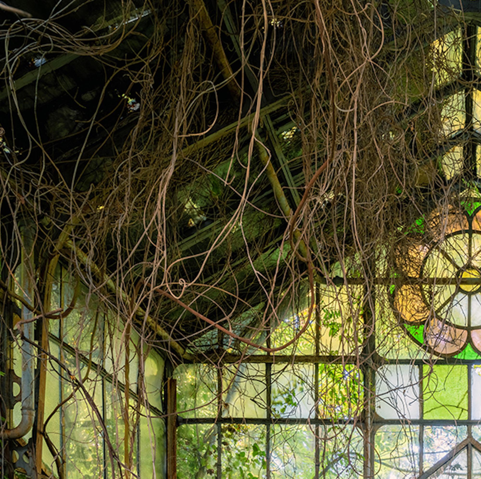 Effetto Serra par Gina Soden - Photographie, intérieur, bâtiment abandonné, encadré en vente 4