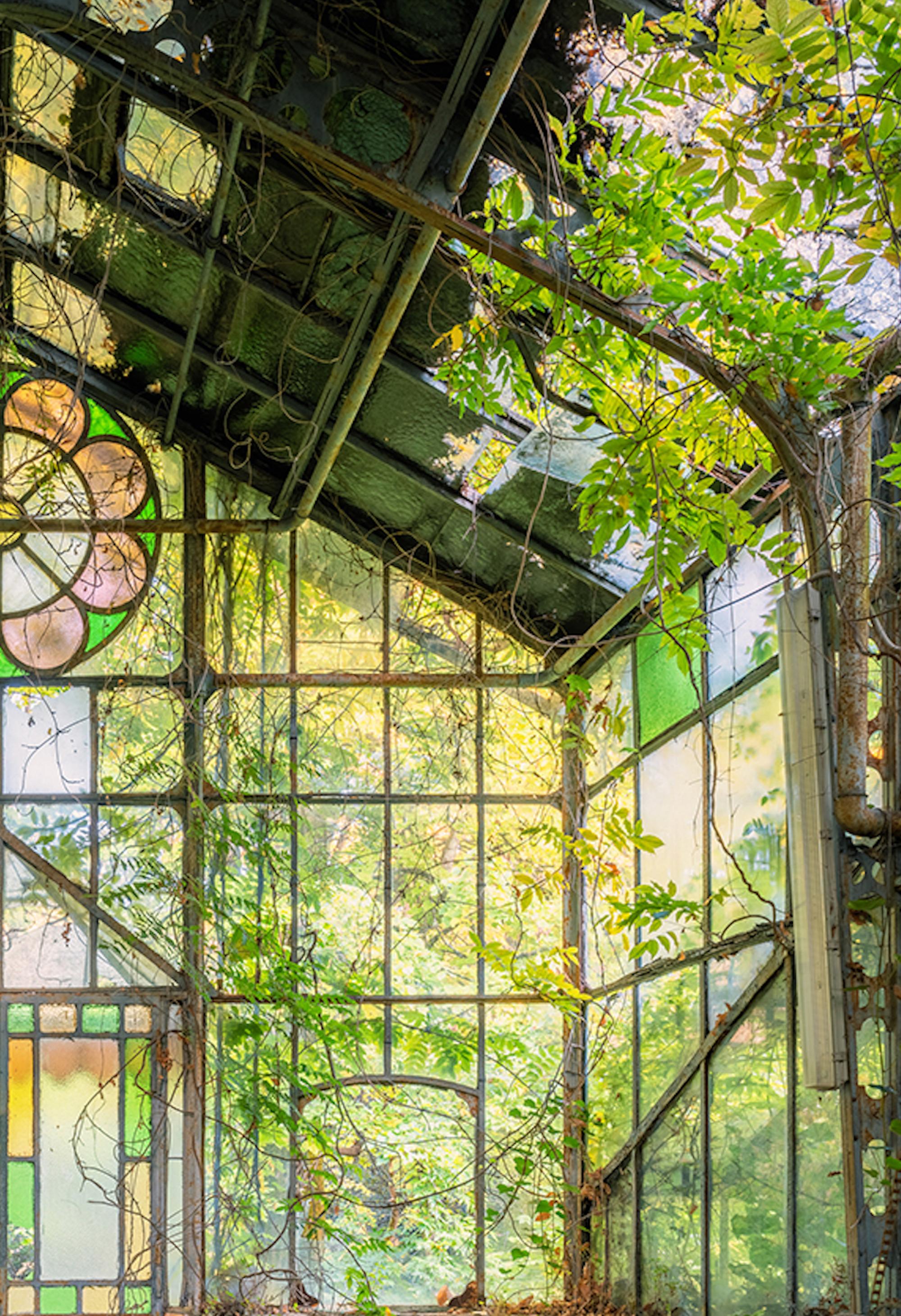 Effetto Serra par Gina Soden - Photographie, intérieur, bâtiment abandonné, encadré en vente 5