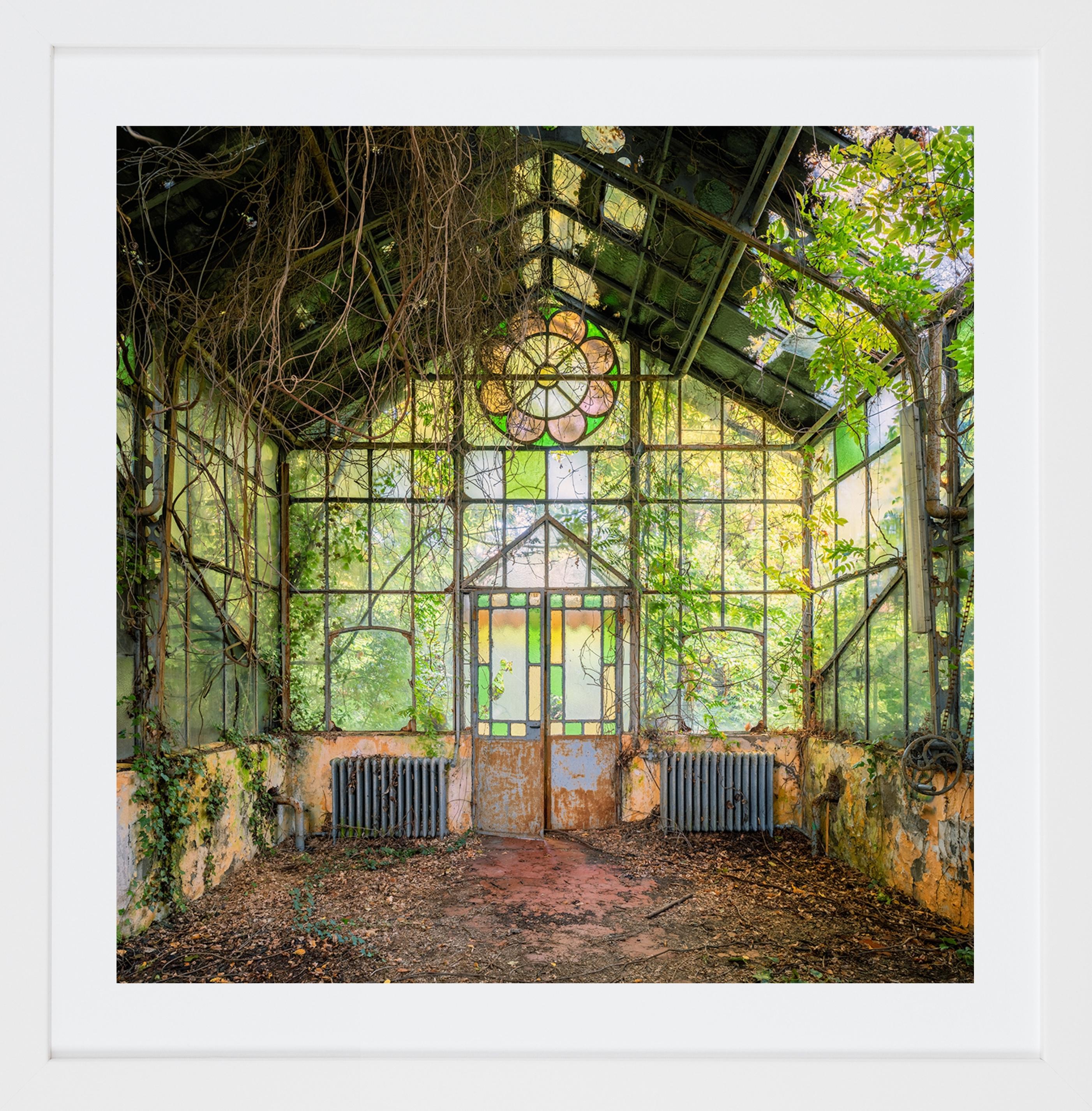 Effetto SERRA est une photographie en édition limitée de l'artiste contemporaine britannique Gina Soden.

Cette photographie est une édition limitée à 15 exemplaires, elle est vendue encadrée avec un cadre blanc classique. Les dimensions de l'image