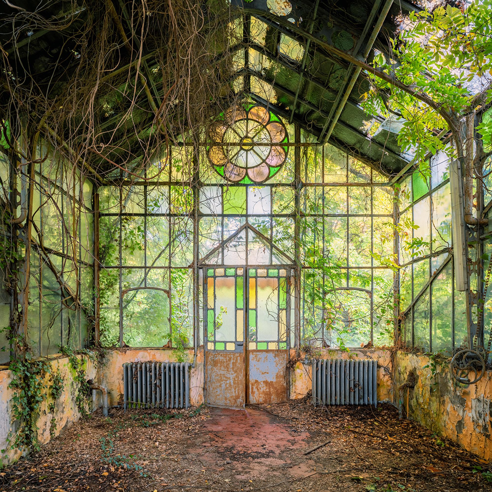 Effetto Serra è una fotografia in edizione limitata dell'artista contemporanea britannica Gina Soden.

Questa fotografia viene venduta solo come stampa, senza cornice. È disponibile in 3 dimensioni:
*44,64 × 44,64 cm (17,6 × 17,6 in), edizione di 15