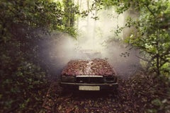 Jaguar di Gina Soden - Fotografia contemporanea d'autore, urbex, auto retrò