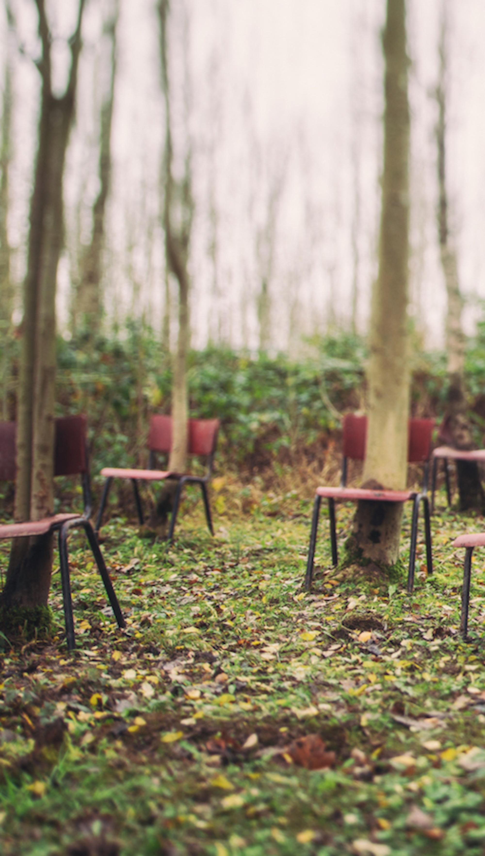 Orchestral by Gina Soden - Abandoned place, urbex photography, forest, chairs For Sale 2