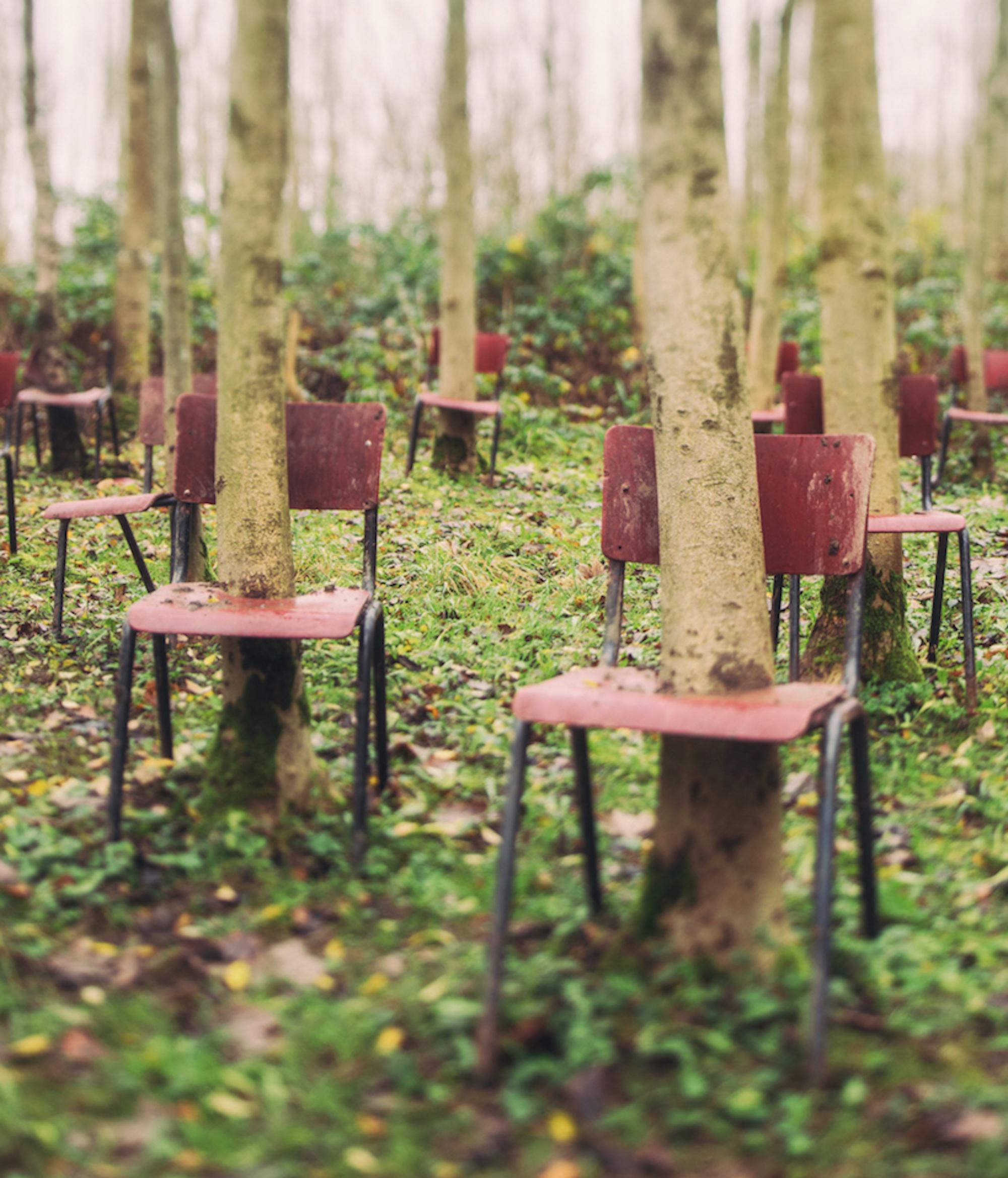 Orchestral by Gina Soden - Abandoned place, urbex photography, forest, chairs For Sale 3