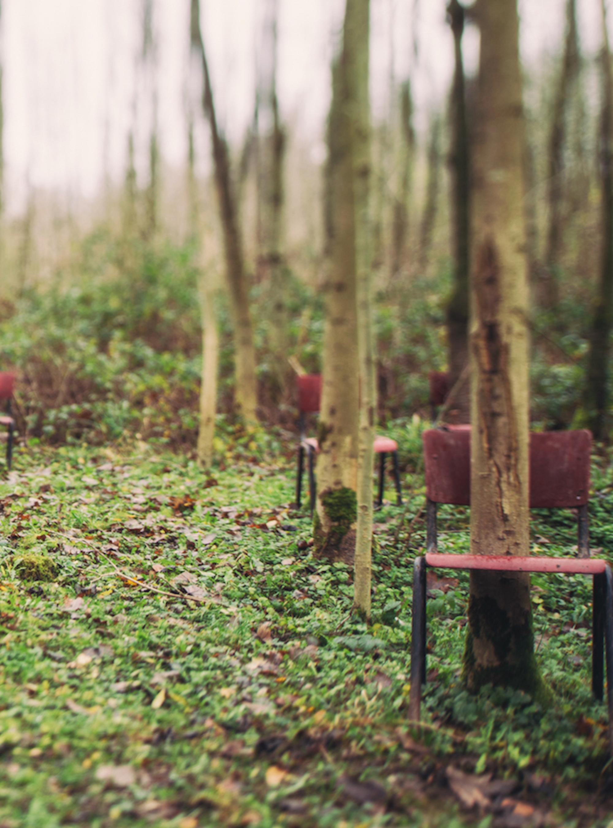 Orchestral by Gina Soden - Abandoned place, urbex photography, forest, chairs For Sale 4