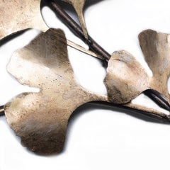 Ginkgo Wall Sculpture in Aged Silver