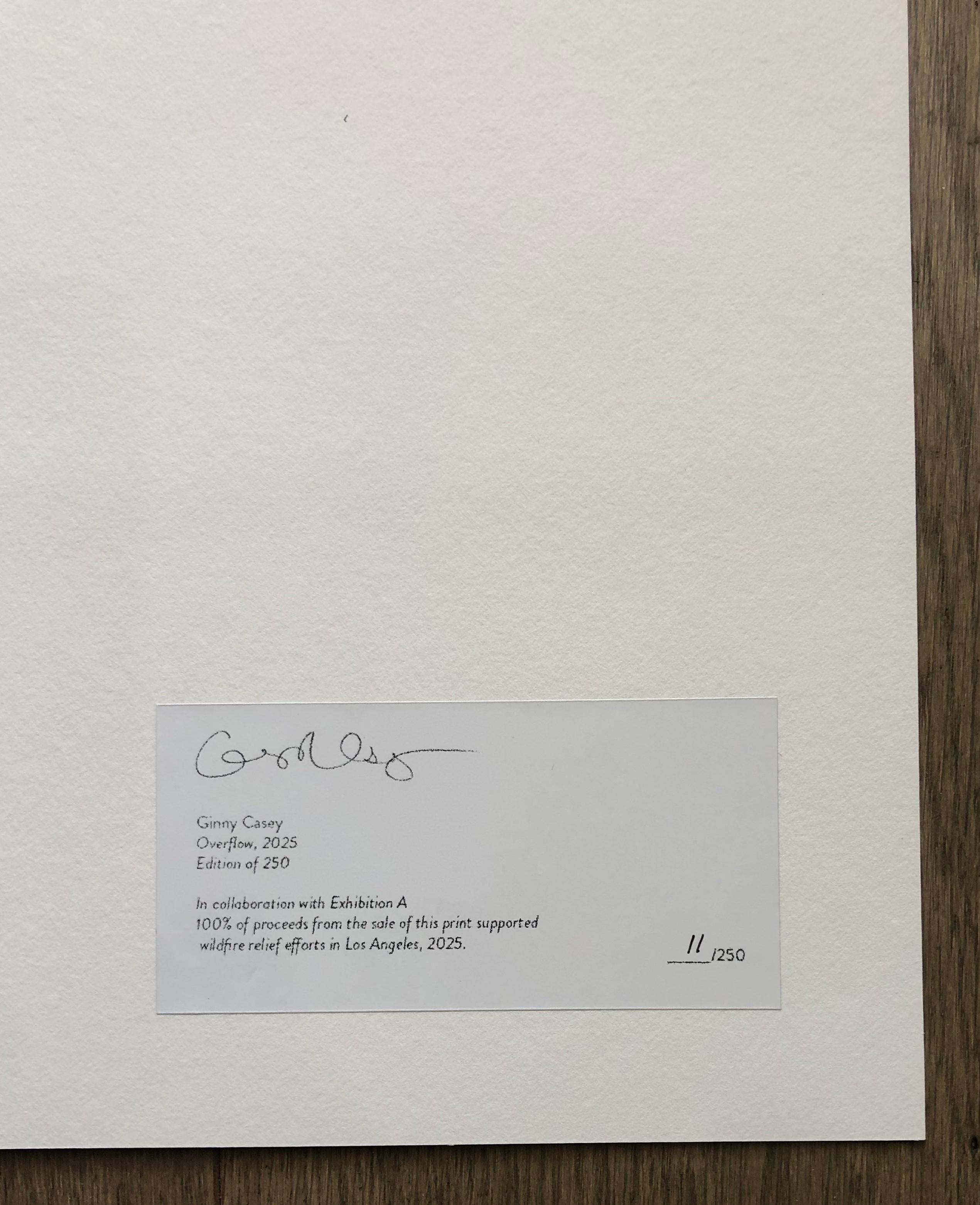 Überlauf (Grau), Portrait Print, von Ginny Casey