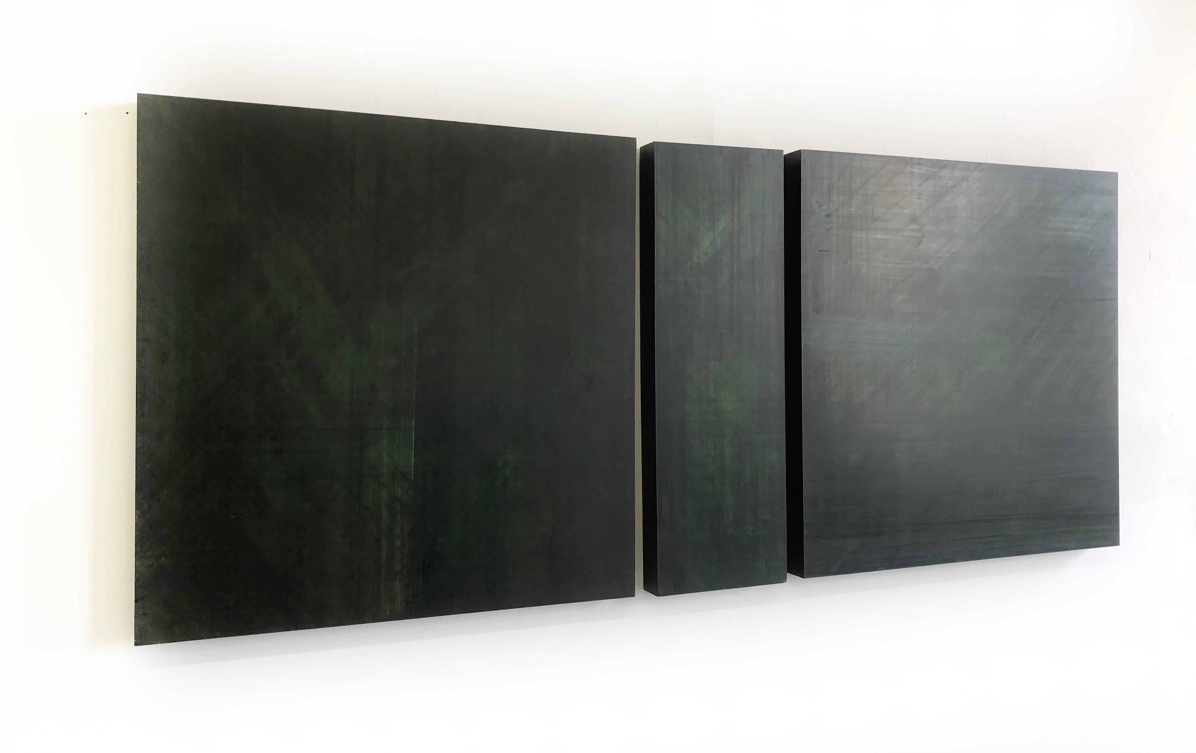 Acrylic on 3 wood panels
Overall dimensions:  30 x 72 x 2 inches
Suggested installation is 1-2 inches between each panel
and panels can be oriented in any direction


We are amazed by this artist's ability to achieve multiple flawless layers of