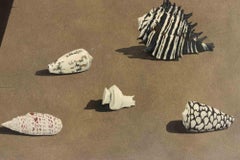 Conchiglie - Quadro di Gino Guida - Anni '80