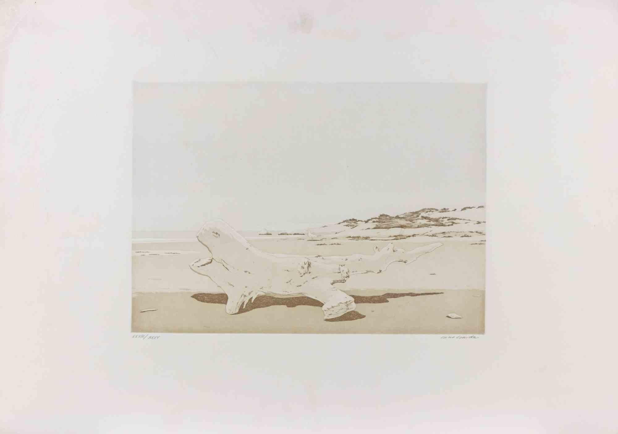 Etching realized in 1980s.

Hand signed and numbered in pencil.

Edition of 35, in roman numbers.

Very good condition.