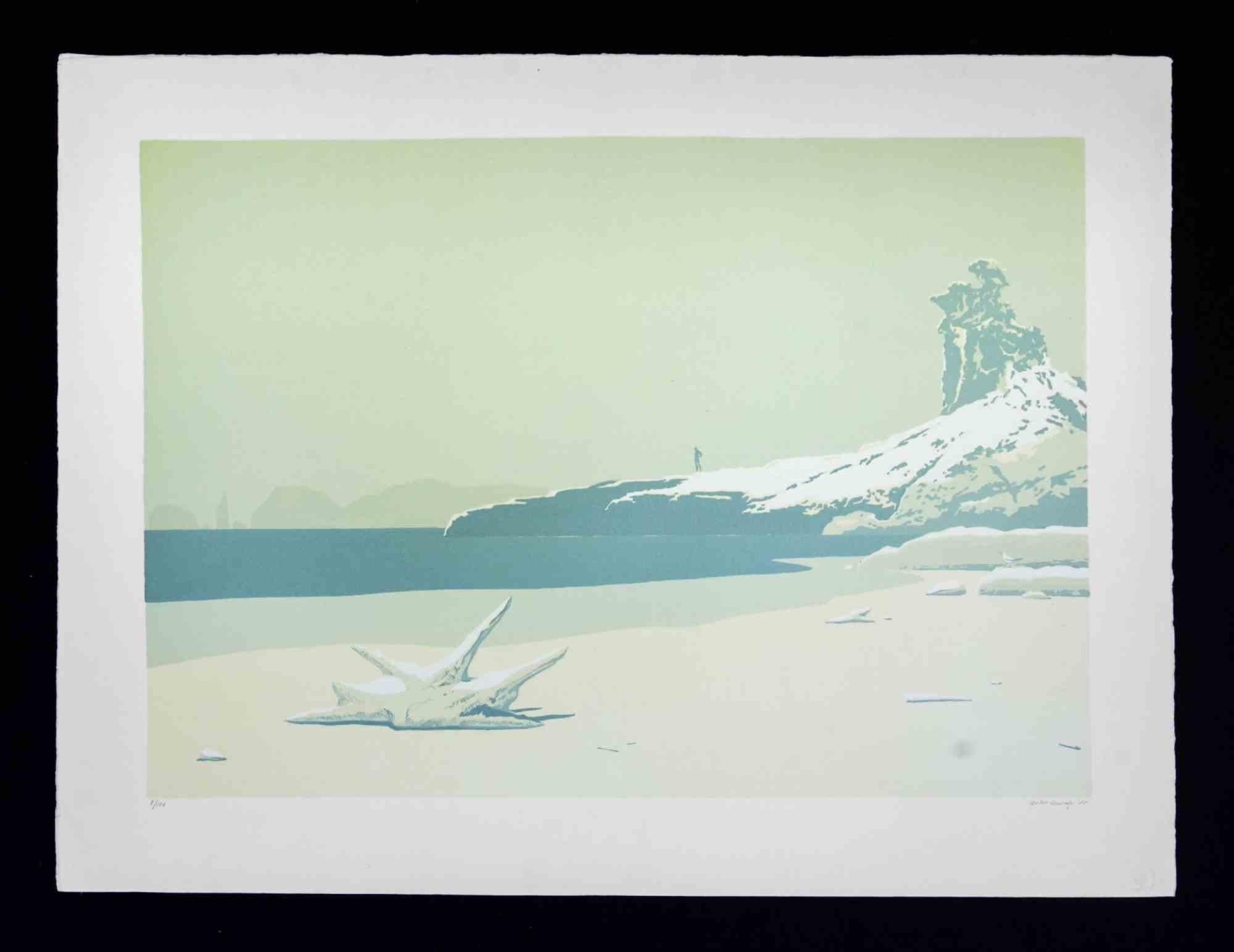 Lithograph on Magnani-Pescia paper. Paper size 60cmx80cm, work size 47cmx68cm. Excellent condition, no defects. 
Gino Guida - Born in Naples in 1932, died in Zagarolo 2017,
He moved with his family to Rome in his early childhood; here he completed