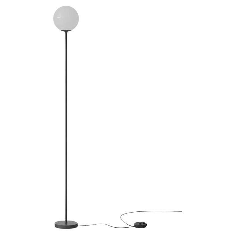 Gino Sarfatti Lamp Model 1081 180cm Black Mount for Astep For Sale