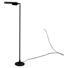 Vintage Gino Sarfatti rare model 1086 floor lamp for Arteluce, Italy, 1961