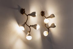 Gino Sarfatti Sconces for Arteluce, 1952, Set of 4