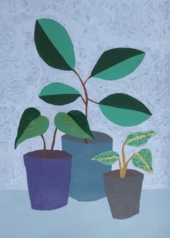Drei Hausplanten mit Topf in kalten Tönen, modernes Stillleben, grüne Blätter, grau