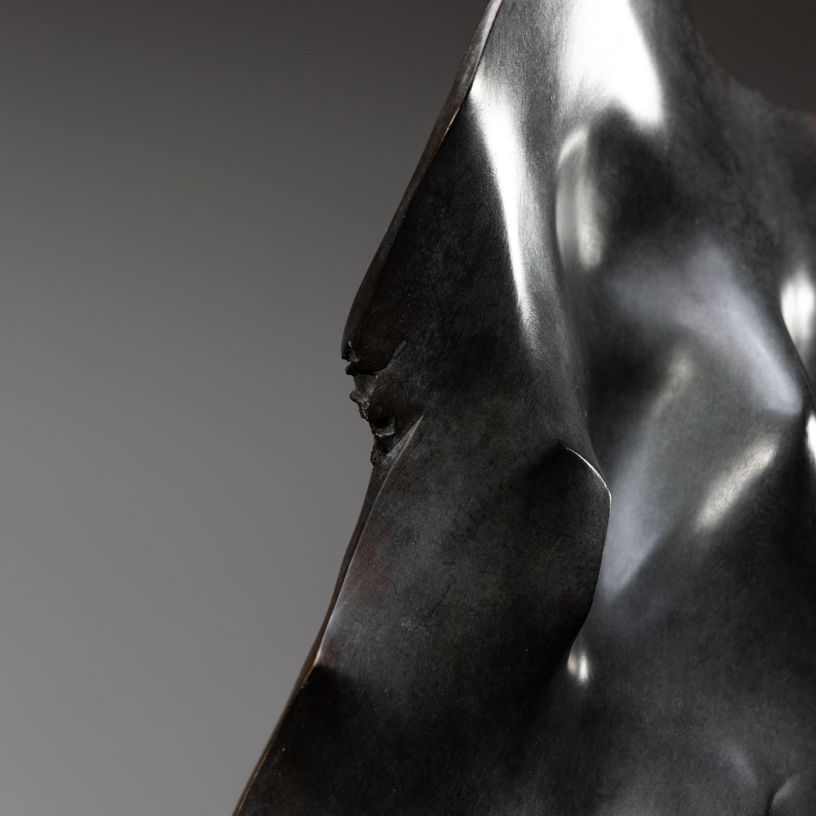 Scultura in bronzo 'Vela' di Giò Pomodoro (1930-2002) su un piedistallo in pietra nera. Firmato e numerato sul retro. Giò Pomodoro era il fratello minore di Arnaldo Pomodoro. È stato uno scultore, disegnatore di rilievi e architetto italiano, uno