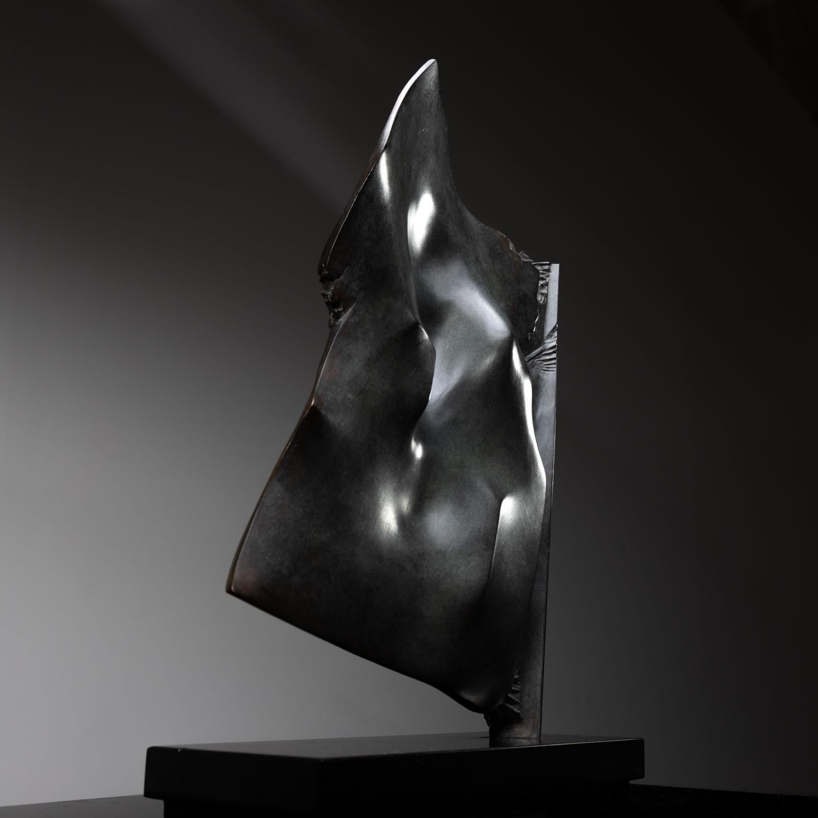 Italiano Giò Pomodoro (1930-2002), Vela, PA/2, Italia 1991 in vendita