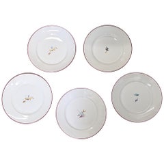 Gio Ponti for Ginori Art Deco Dinner Plates, Il Circo