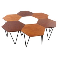 Vintage Gio Ponti Set of 7 Hexagonal Coffee Table by ISA Bergamo, 1950 Italy
