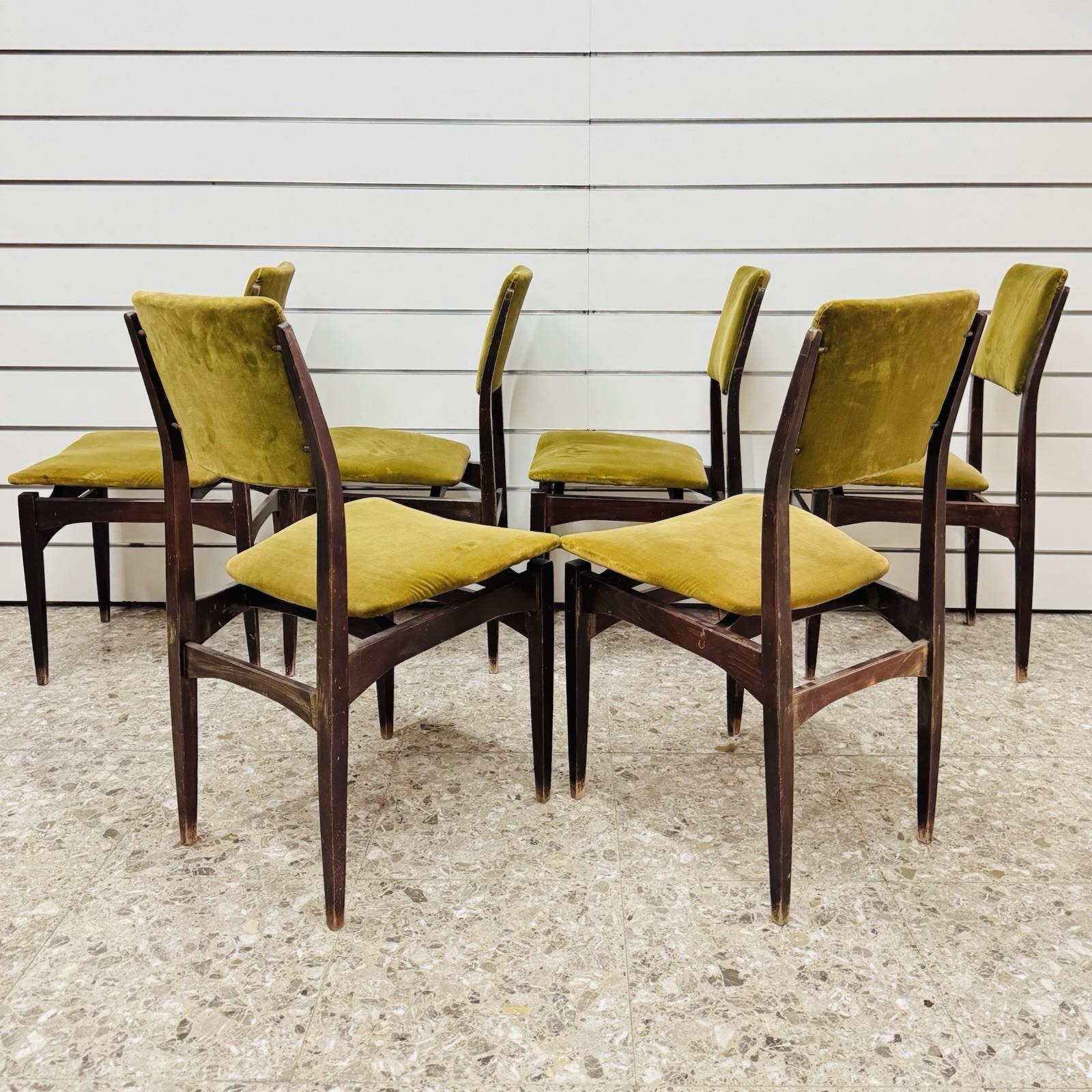 Gio Ponti Style Set Di 6 Sedie Da Pranzo Anni ‘60 Design Modernariato (Samt) im Angebot