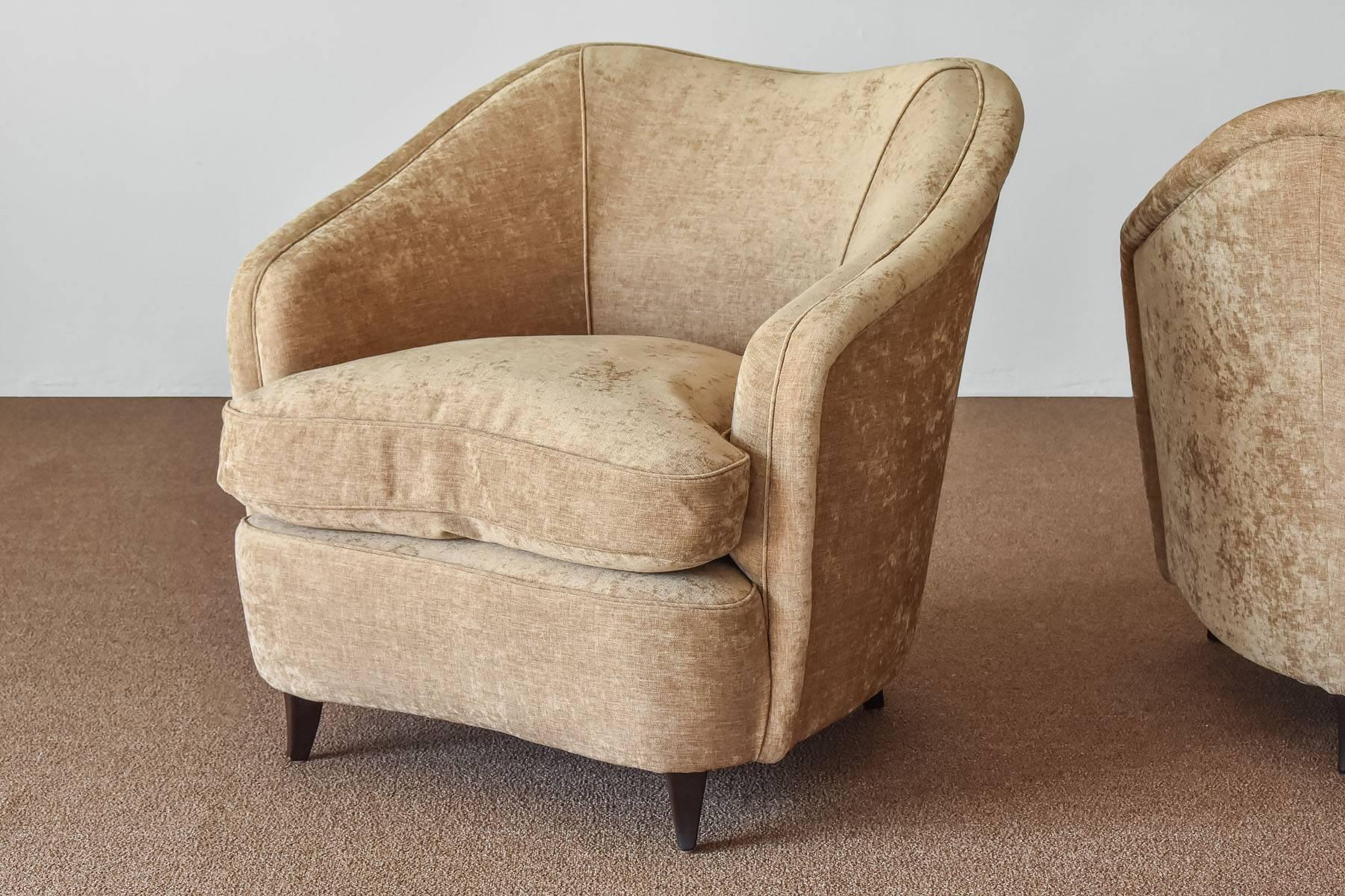 Stained Gio Ponti, Lounge / Armchairs, Beige Velvet, Dark Beech Legs, Italy, 1940s