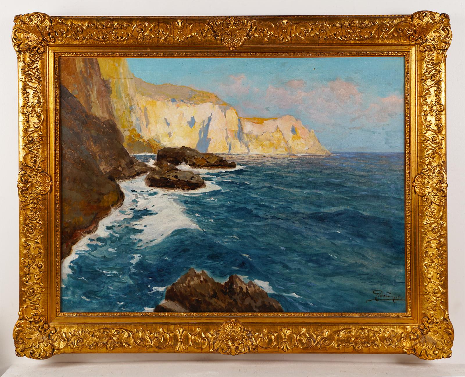 framed wild coasts stamps