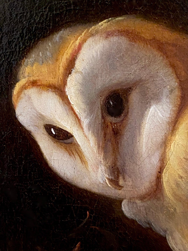 18th century Italian Old Master painting - An Owl with his prey - Bird Hunt - Painting by Giorgio Duranti