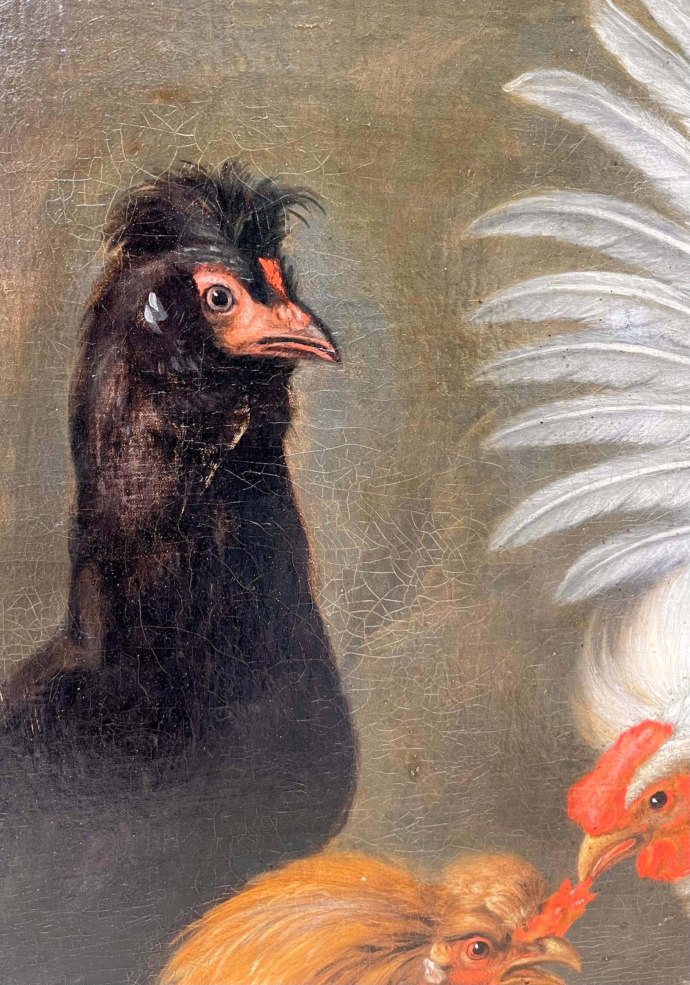 Huge 18th century Italian Old Master painting - Roosters fighting - Bird Cock - Old Masters Painting by Giorgio Duranti