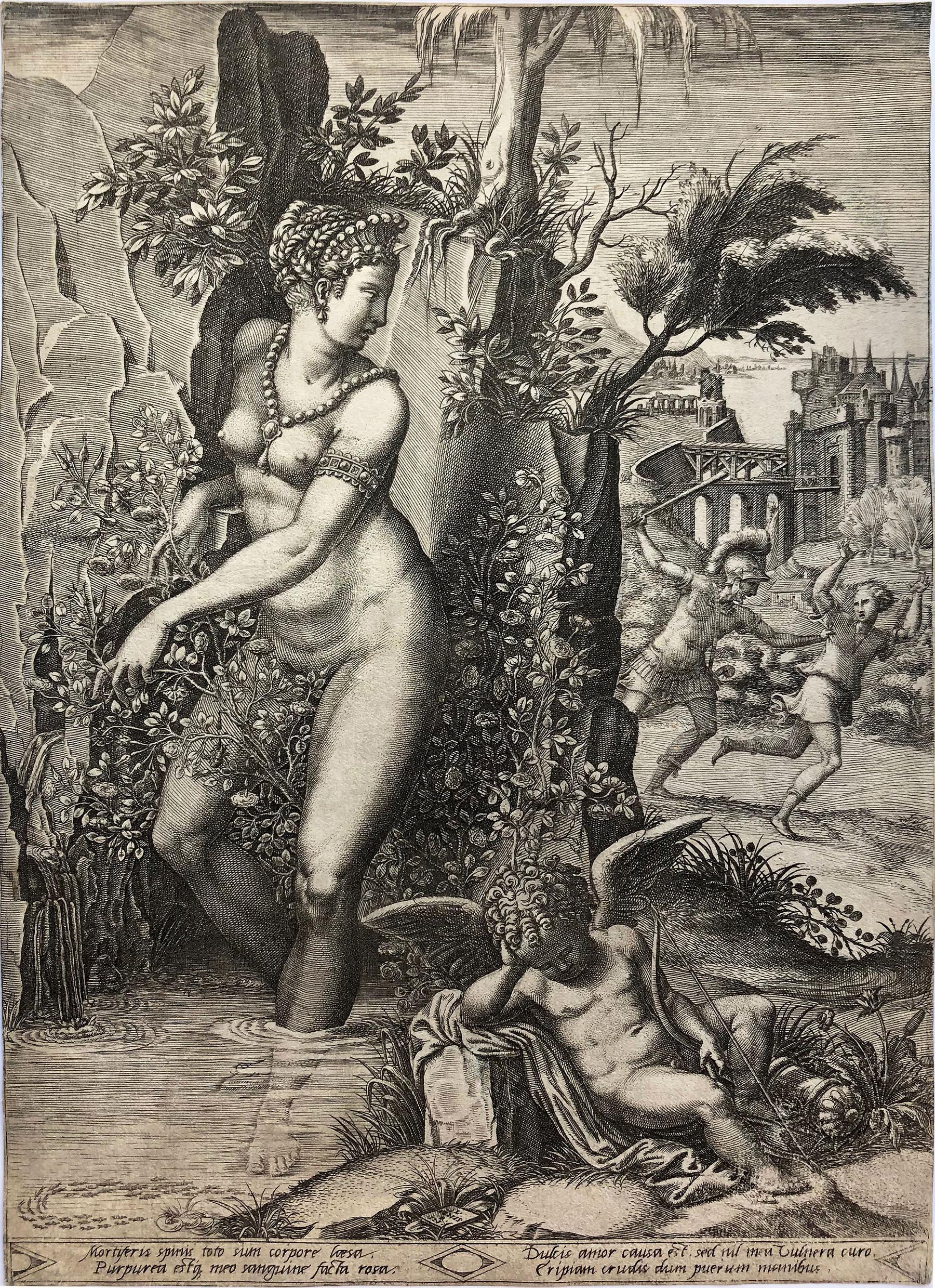 Venus and the Rose (2nd State) - Print by Giorgio Mantovano Ghisi