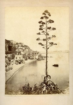 Giorgio Sommer n° 6418, View of Posillipo - Original Albumen Print - 1880s