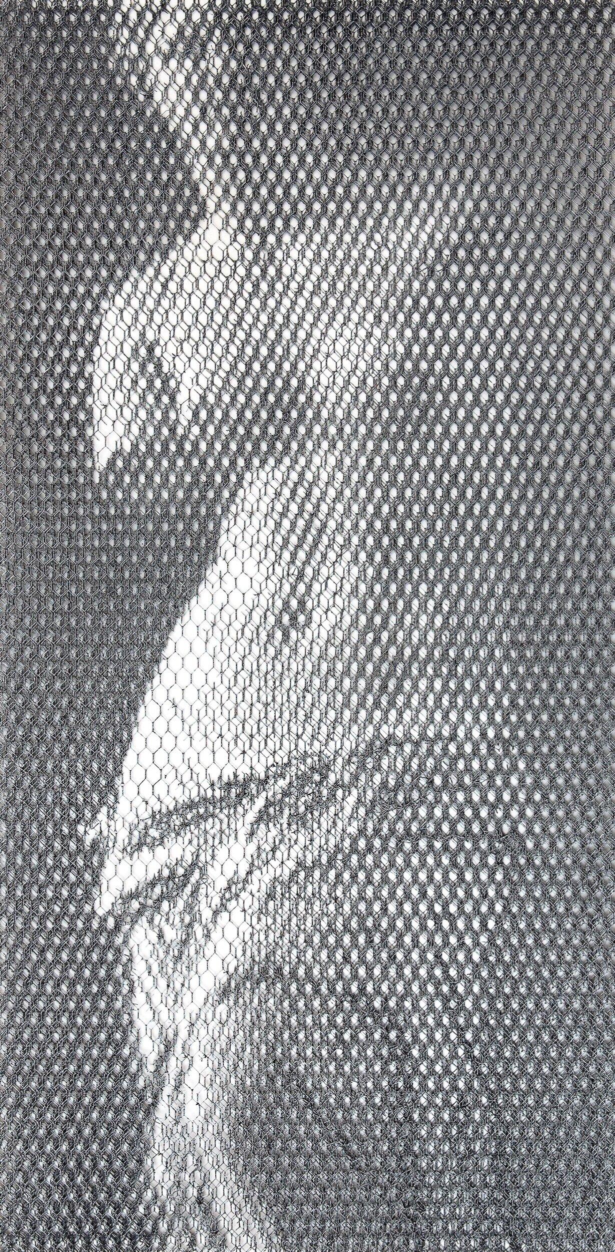 Giorgio TENTOLINI. 
(b. 1978, Italy)
Venus de Milo, 2021.
Ten layers of hand cut wire mesh on white background. 
Framed in floated white gallery frame.
53 x 29.5 inches framed.

Using wire mesh as his medium, Giorgio Tentolini creates