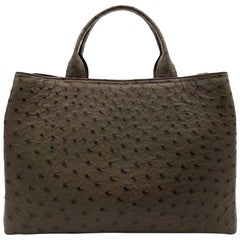 Giòsa Milano Dark Brown Ostrich Bag