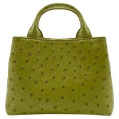 Giòsa Milano Pistachio Green Ostrich Bag