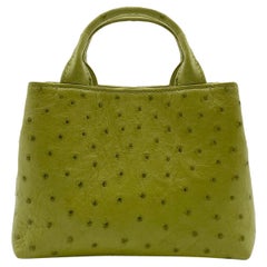 Giòsa Milano Pistachio Green Ostrich Bag