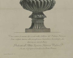 Vaso Antico della Galleria Farnese - Etching by G.B. Piranesi - 18th Century