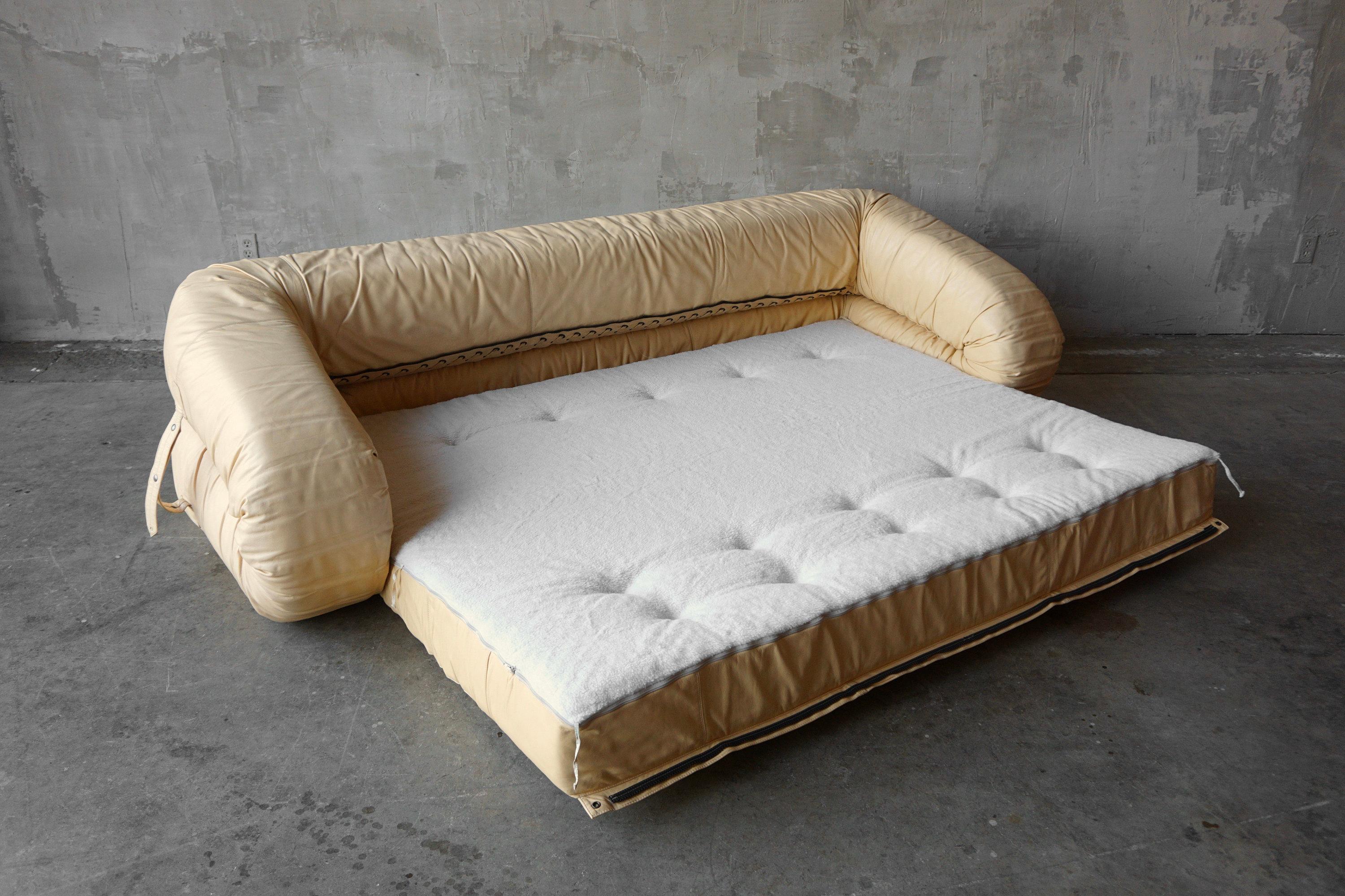 Giovanetti 'Anfibio' Sofa (Moderne der Mitte des Jahrhunderts)