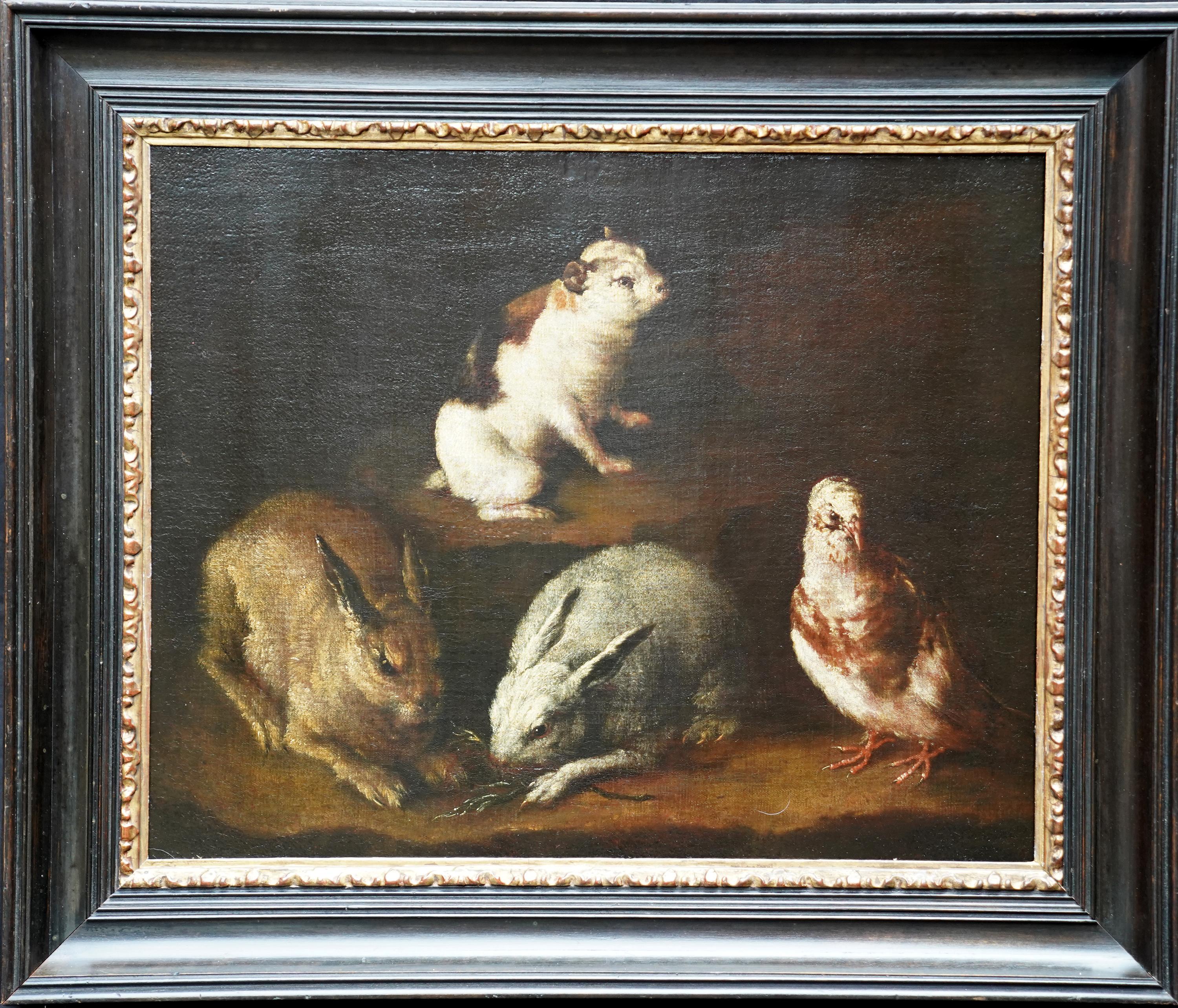 Rabbits Dove and Guinea Pig in an Interior - Italian Old master art oil painting For Sale 6