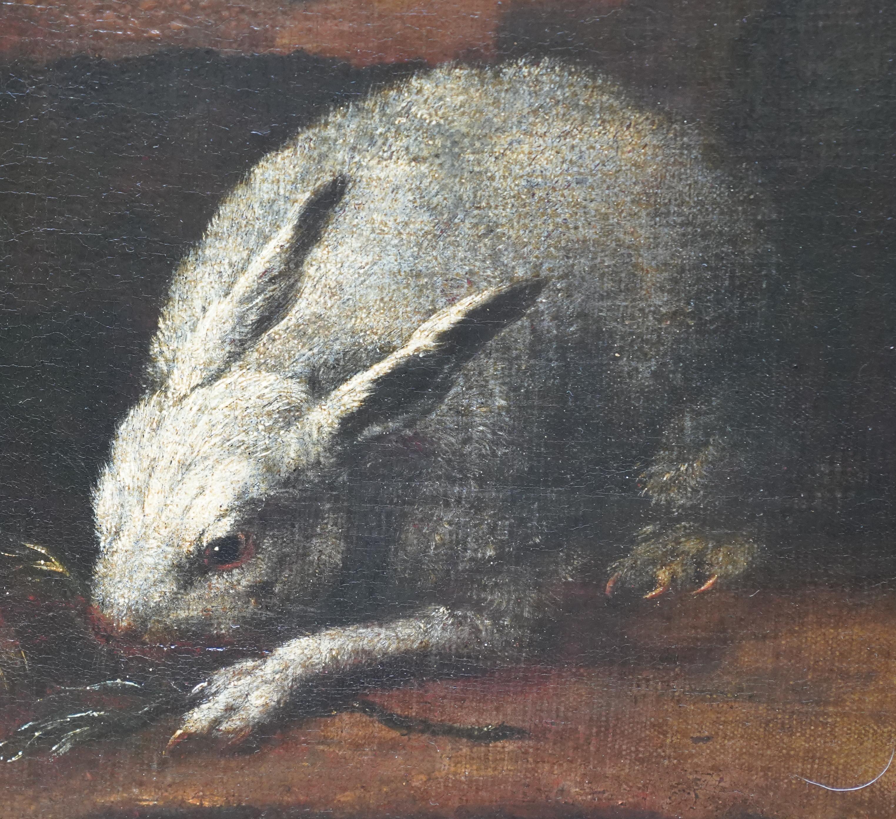 Rabbits Dove and Guinea Pig in an Interior - Italian Old master art oil painting For Sale 1