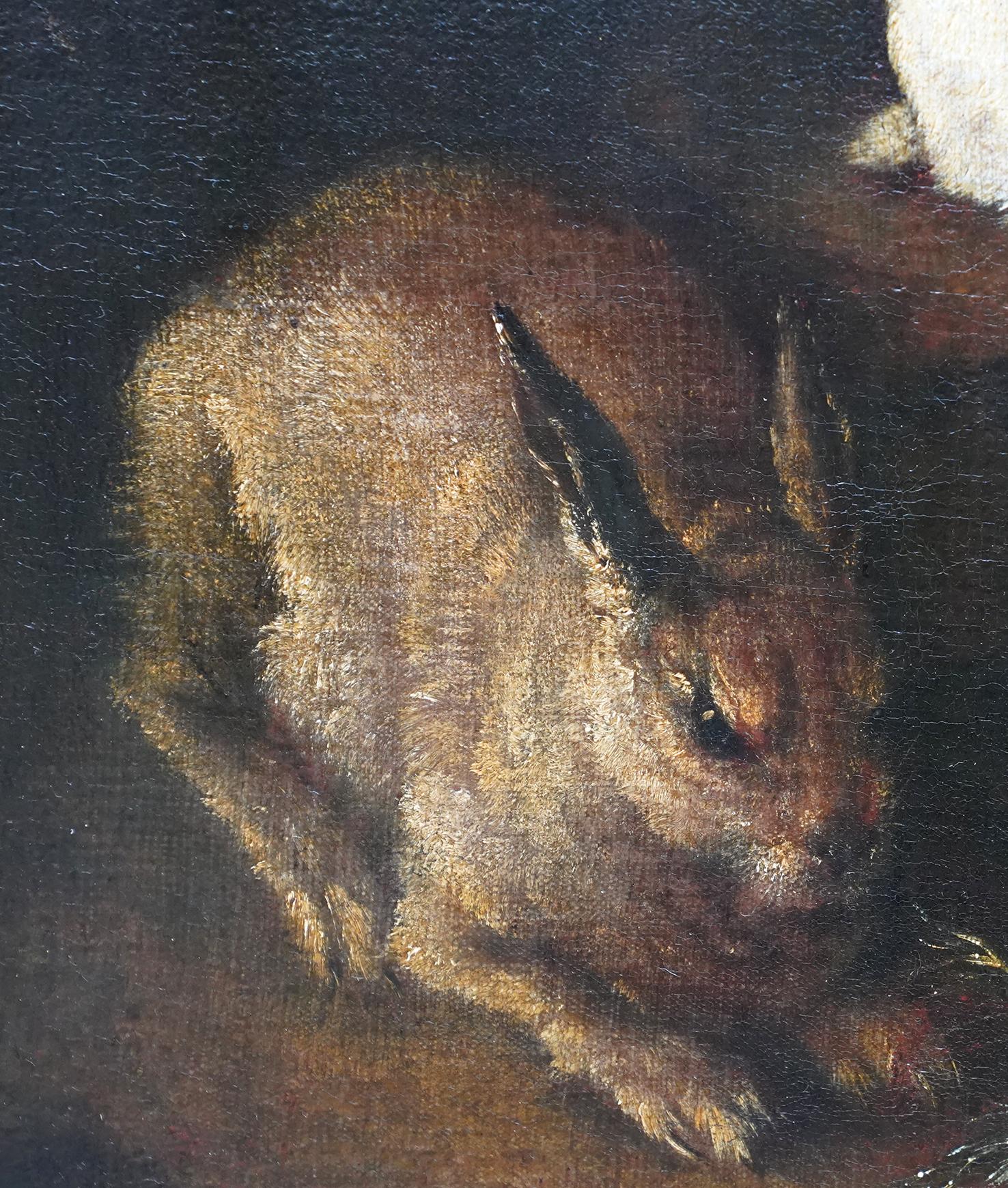 Rabbits Dove and Guinea Pig in an Interior - Italian Old master art oil painting For Sale 2