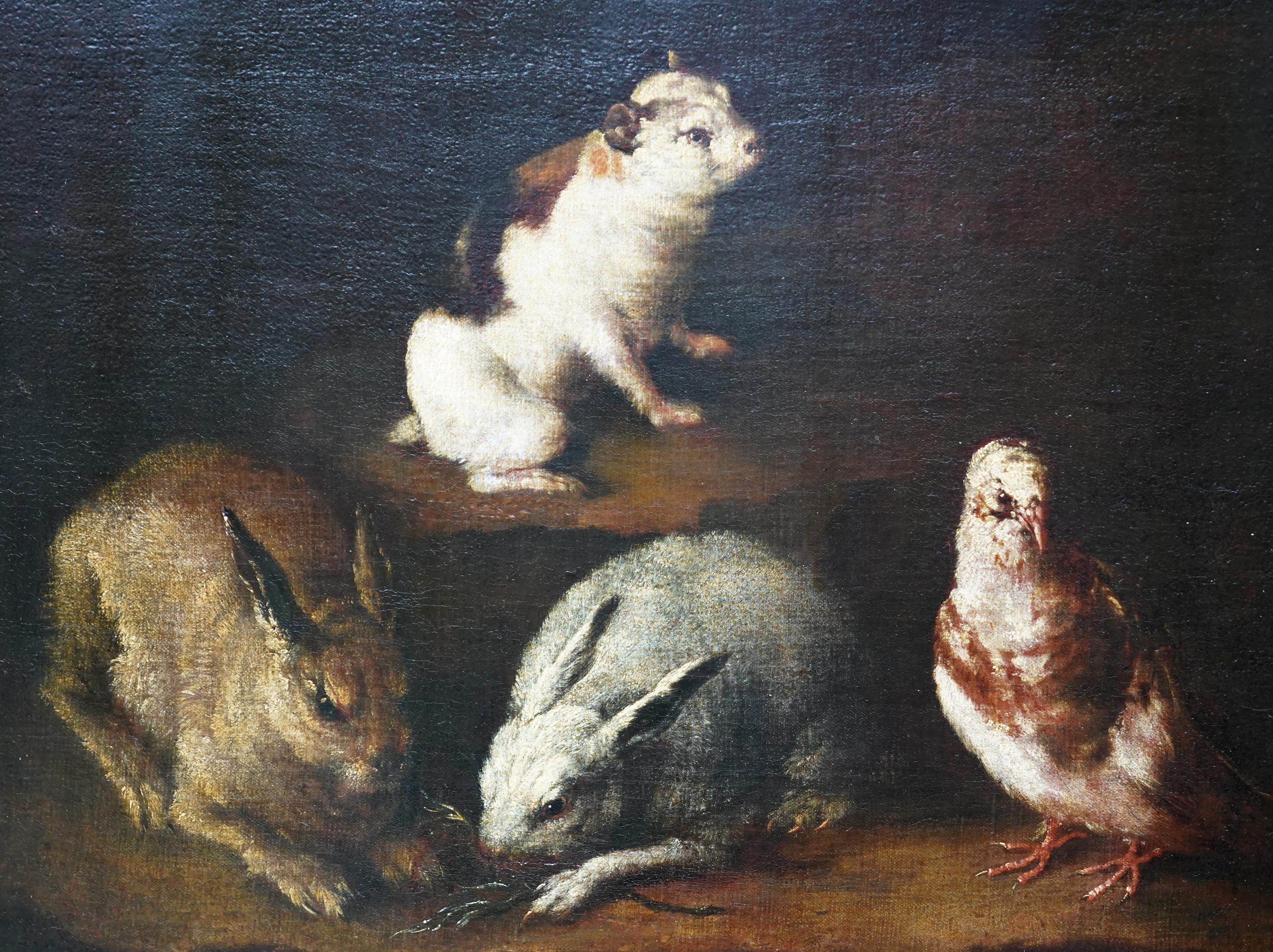 Questo superbo dipinto a olio su animali dell'Antico Maestro italiano del XVII secolo è attribuito all'artista barocco Giovanni Agostino Cassana. Dipinta intorno al 1650, la composizione raffigura due conigli, un porcellino d'India e una colomba in