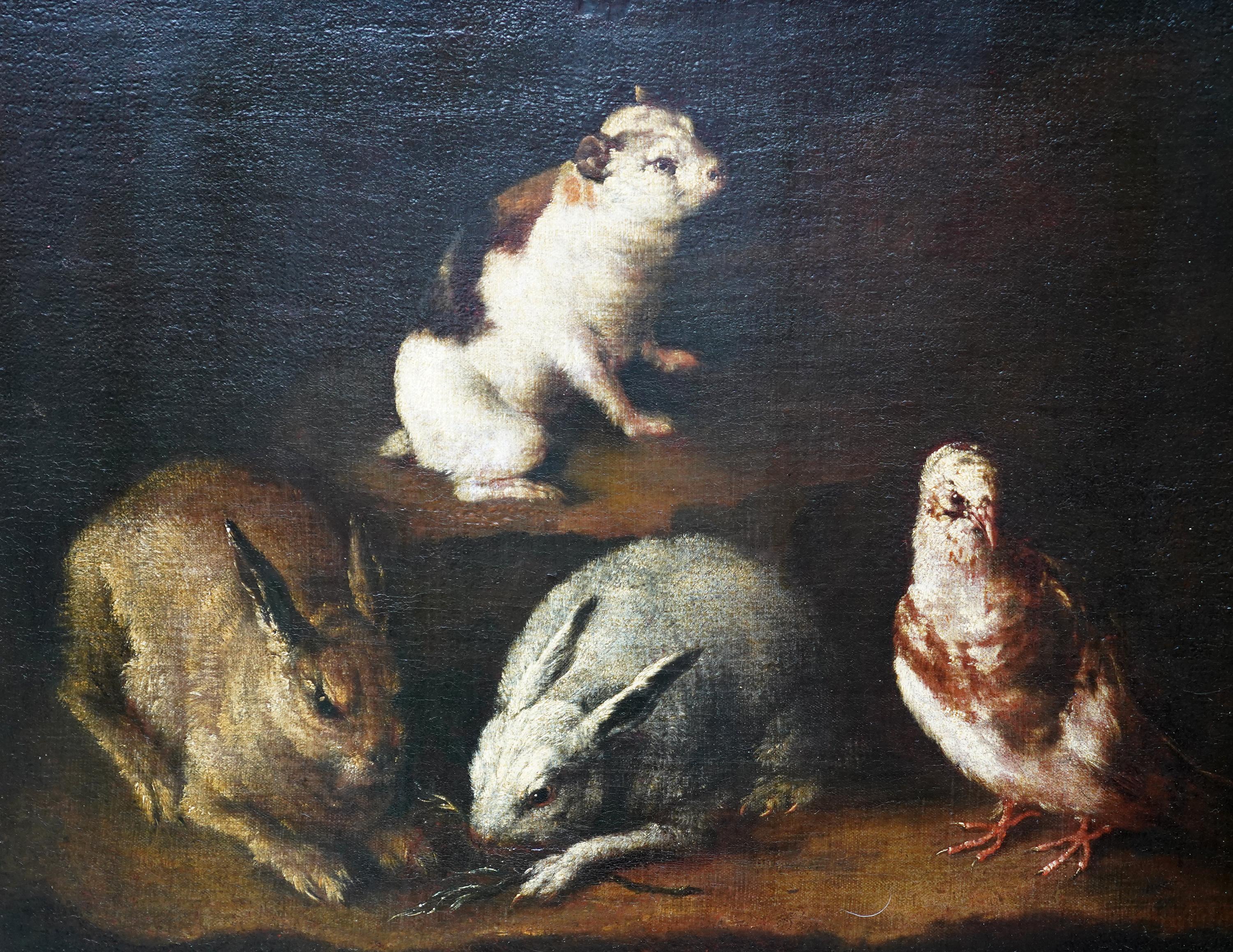Rabbits Dove and Guinea Pig in an Interior - Italian Old master art oil painting For Sale 5