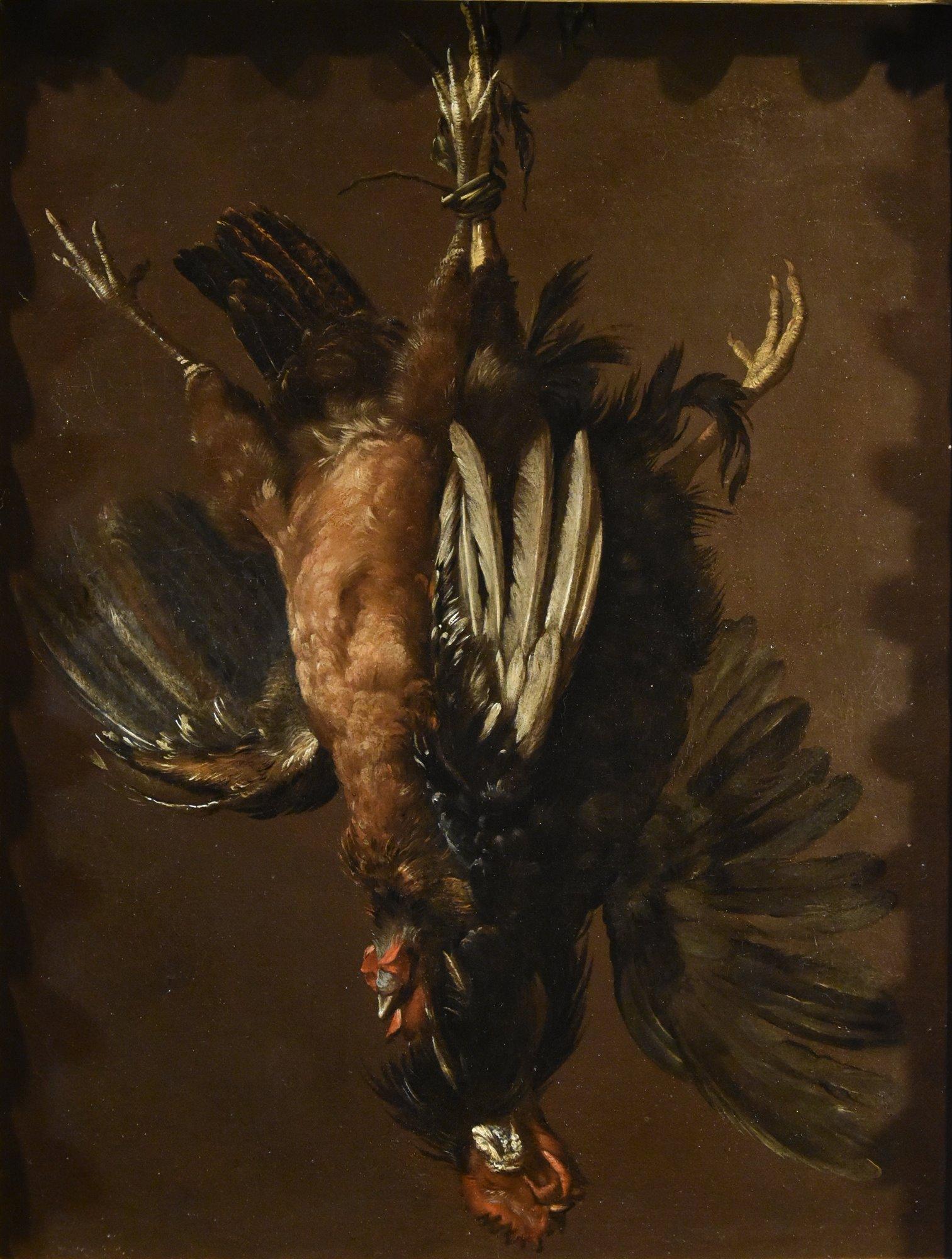 Still-Life Cassana Paint 17/18 Century Oil on canvas Old master Lombard school - Old Masters Painting by Giovanni Agostino Cassana (Venice 1658 - Genoa 1720)