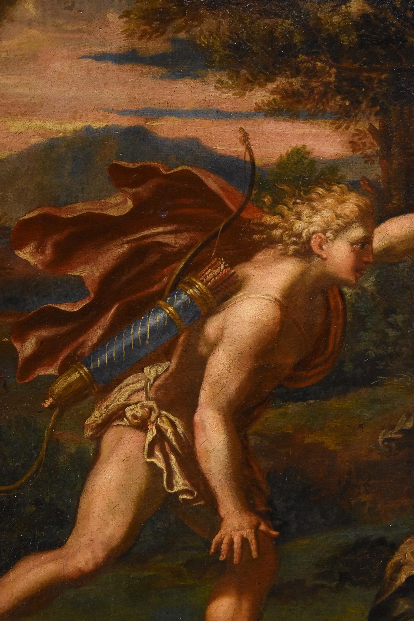 Myth Apollo Daphne Canini Paint Oil on canvas Old master 17th Century Italy For Sale 3