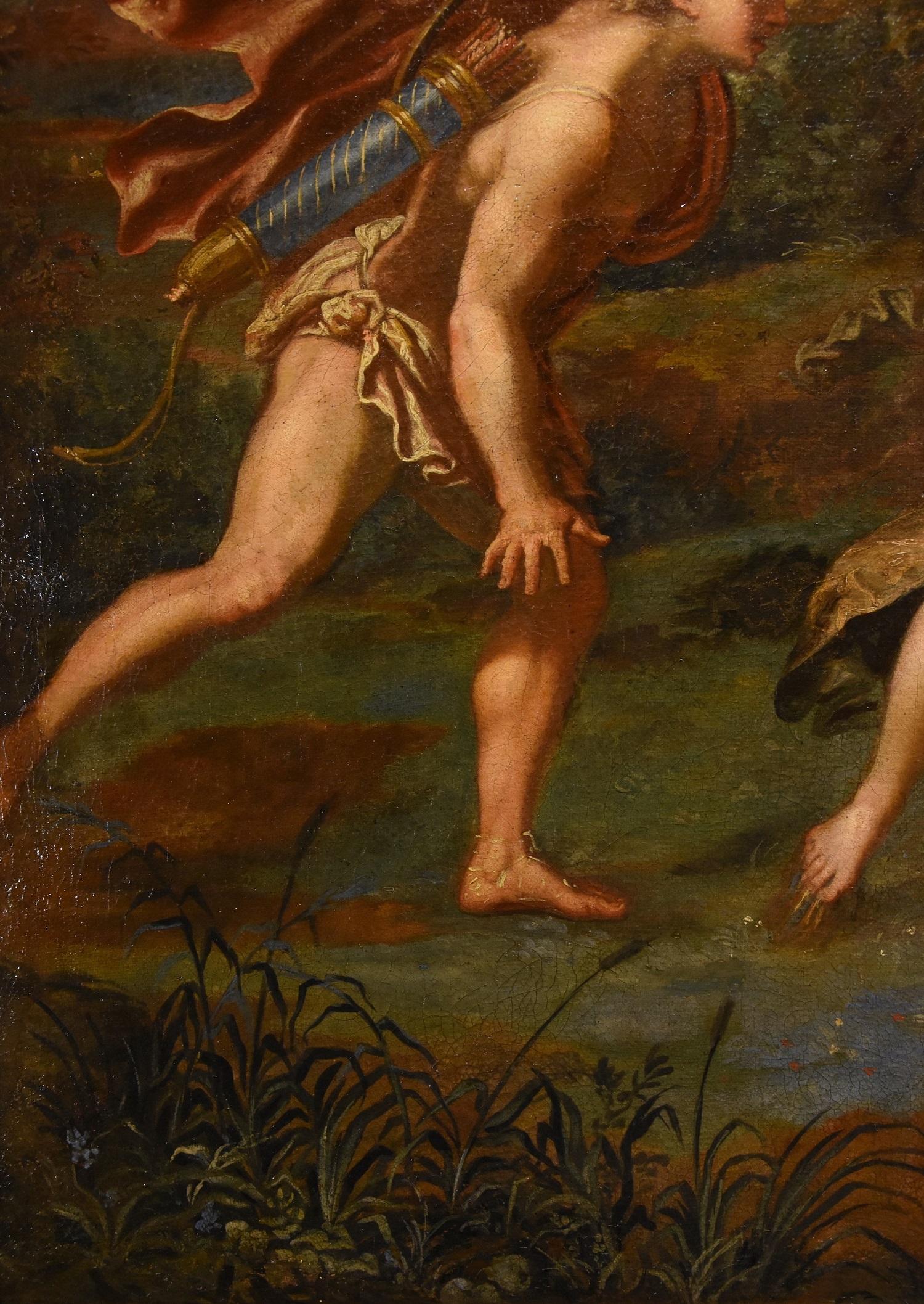 Myth Apollo Daphne Canini Paint Oil on canvas Old master 17th Century Italy For Sale 6
