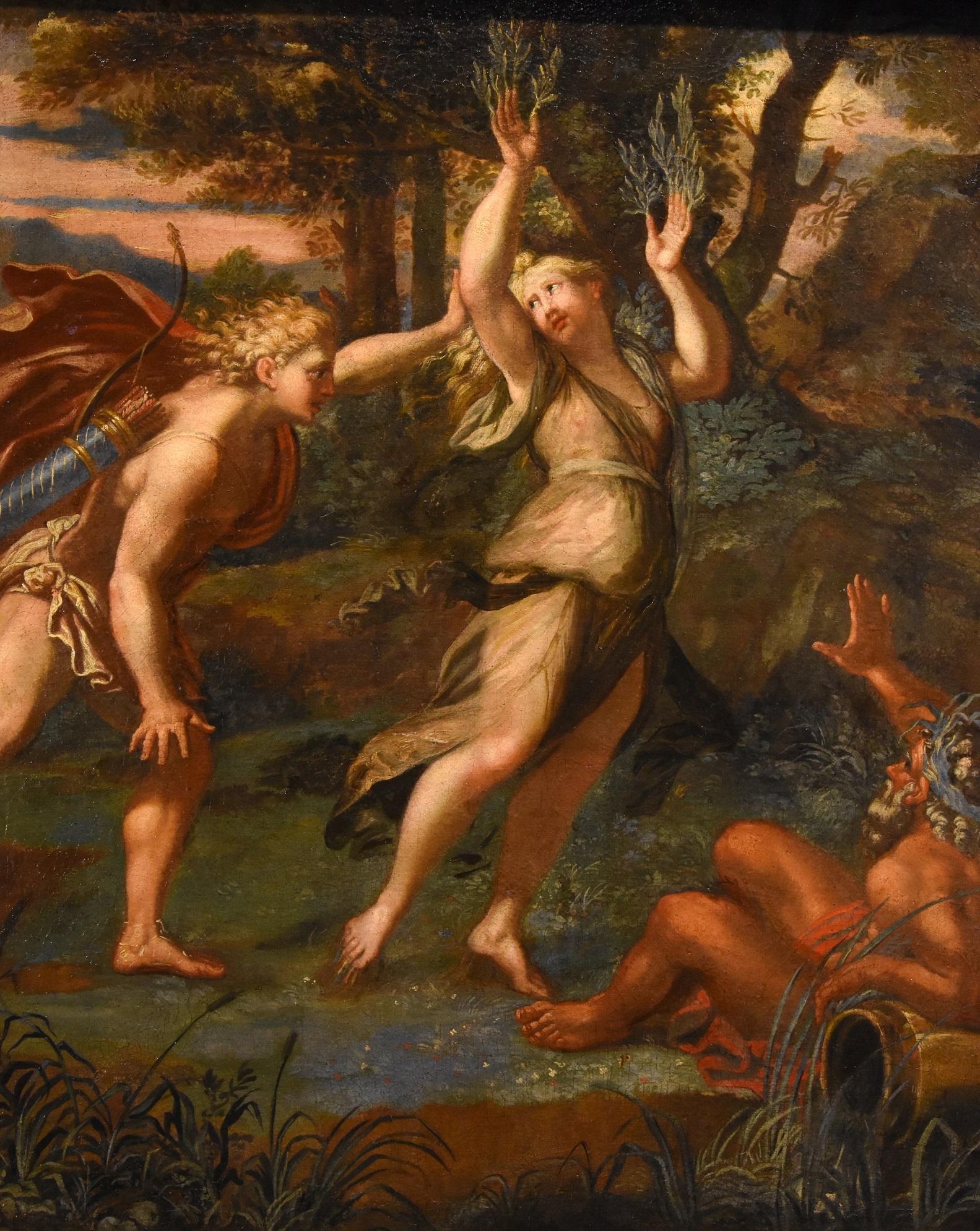 apollo and daphne myth
